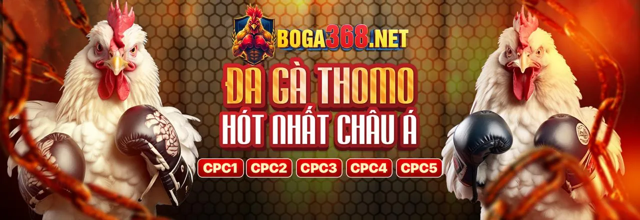 Ưu đãi đăng ký mới cho người dùng vwbet